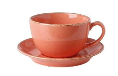 Porland Seasons Orange Чашка чайна 320 мл з блюдцем 160 мм в наборі