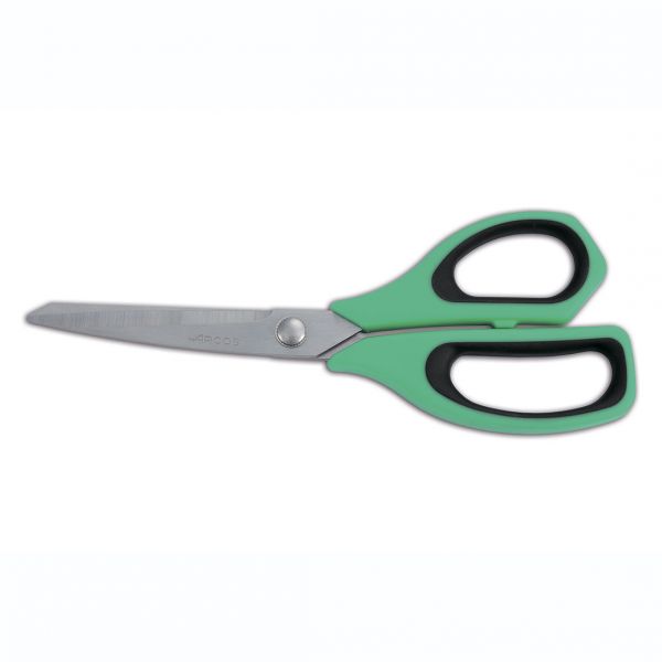 185721 Ножиці кухонні 240 мм зелені