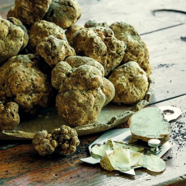 48237-00 Ніж для нарізки трюфелів