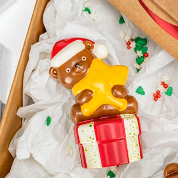 20SR107 Набір форм з петлями та гачками для шоколадних фігурок "Милий ведмідь"  67x54 h 105 мм, 4+4