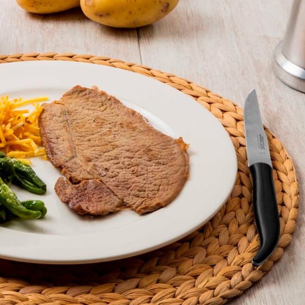 372900 Ніж для стейку, 110 мм