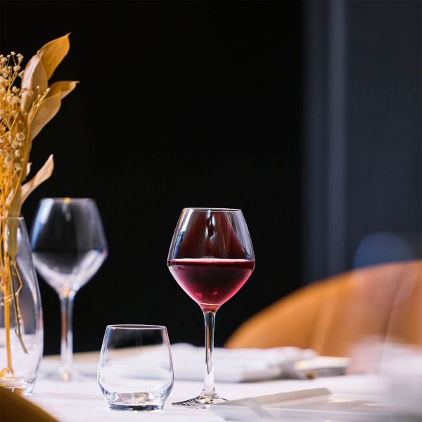 E2789 Бокал для вина 580 мл серія "Cabernet Vins Jeunes"