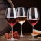 241297 Бокал для вина Wine 520 мл серія "Fortius"