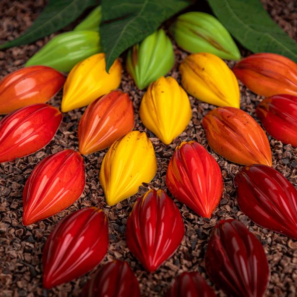 MA1018 Форма для шоколаду "Теоброма" 52х26 мм, h14 мм