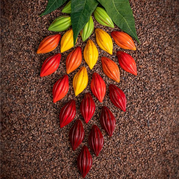 MA1018 Форма для шоколаду "Теоброма" 52х26 мм, h14 мм