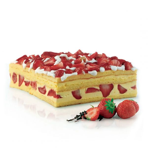 SFT332/N Форма силіконова 330x220 mm, h 55 mm (без упаковки)