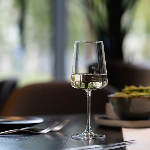 300840 Бокал для вина Wine 410 мл серія "Niveau"