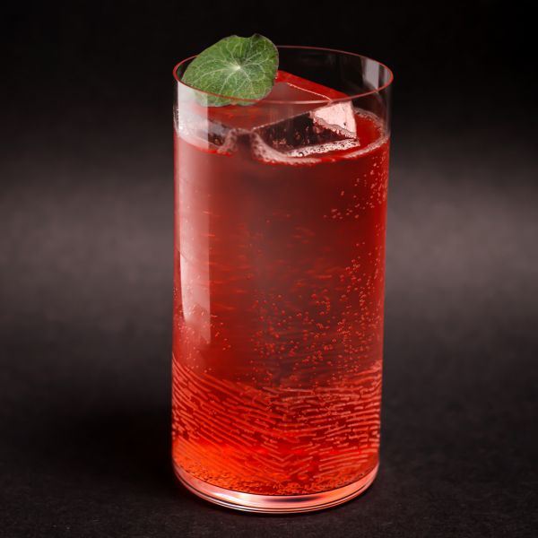 42321276 Склянка висока 345 мл "Highball" серія "Tribute Collection"