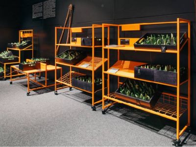 Модуль для овочів STOREY Модуль для овочів STOREY