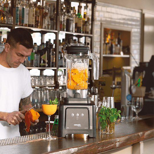 Блендер Ceado в185