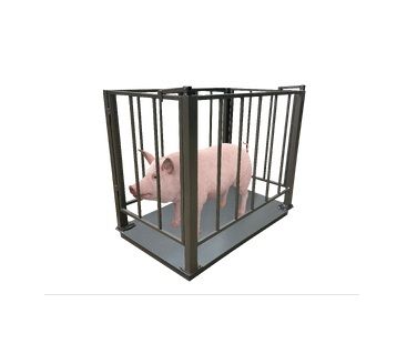 Ваги для свиней з решіткою (750х1200)