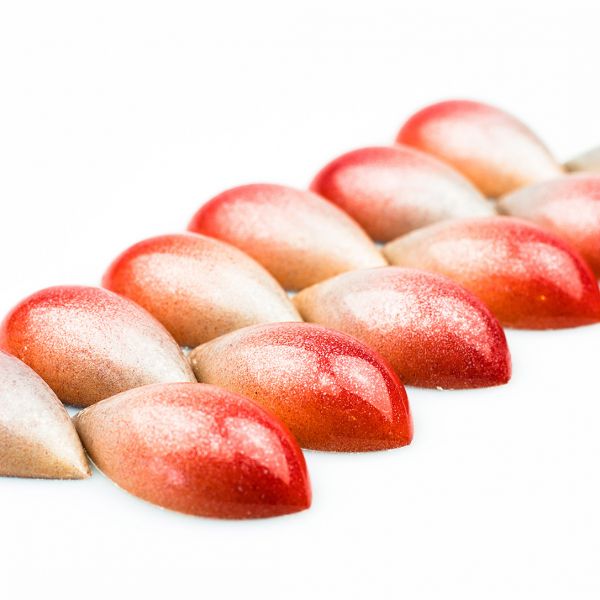 1673 CW Форма для шоколаду "Канеллі" 45,5x25x12,5 мм