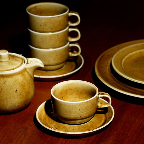 TRY0211 Чашка 110 мл серія "Country Range"