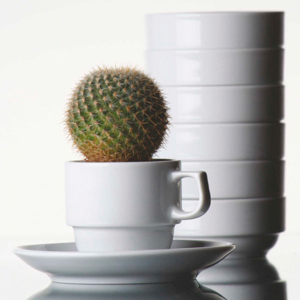 PRA0219 Чашка 190 мл серія "Praha"