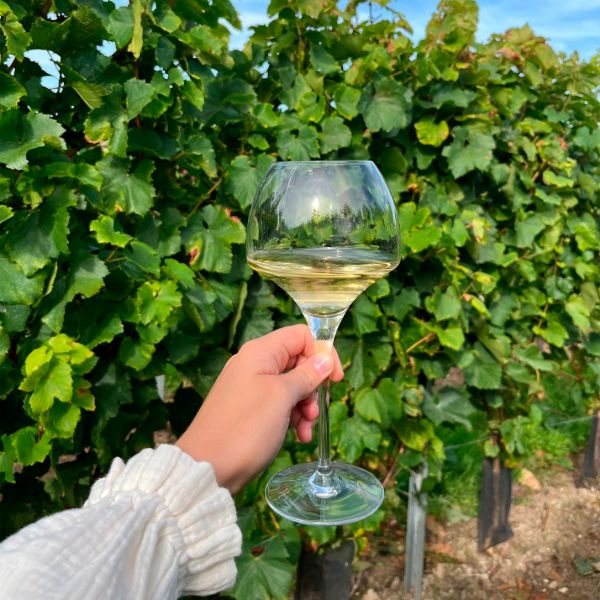 U1012 Бокал для вина 470 мл серія "Open up"