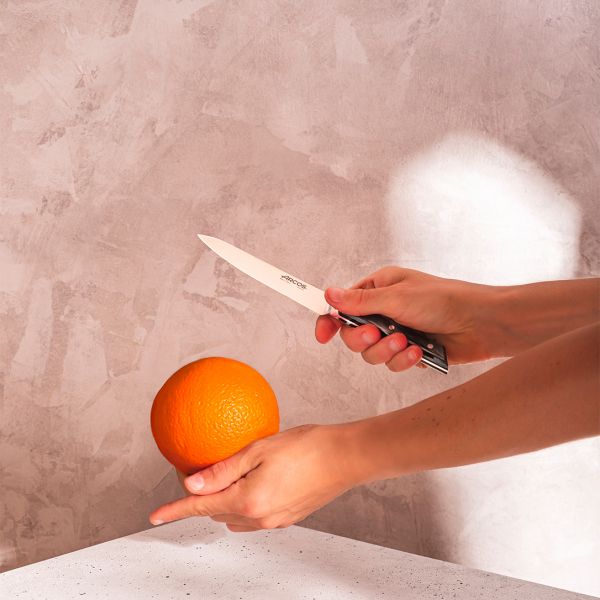 213000 Ніж для чистки 100 мм серія "Eclipse"