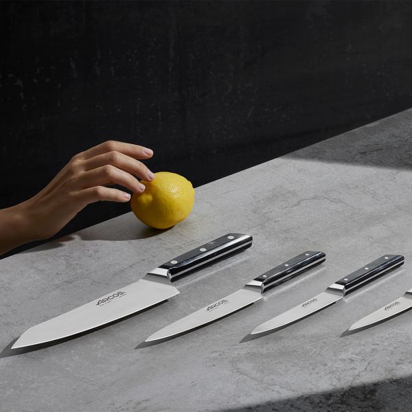 213500 Ніж кухарський 200 мм серія "Eclipse"