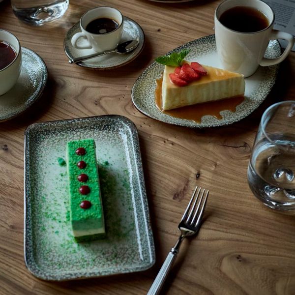 TN-SZ-AR-28-DT Блюдо прямокутне 24х15 см (діагональ 28 см), декор Spazio, серія "Tinta"