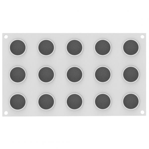 BIGNE PERFETTO 30 Форма силіконова Ø 45 h25 мм (15х30мл)