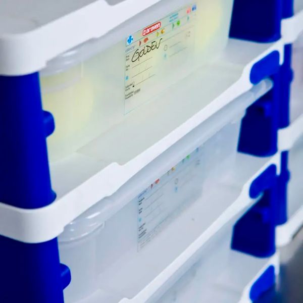 18237 Етажерка для гастроємностей 1/2 (+ 3 гастроємності 1/2h100), 357х312х397 мм