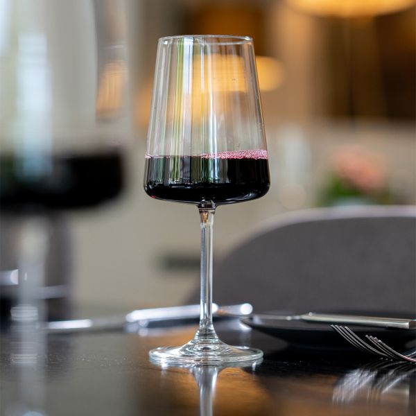 300857 Бокал для вина Wine 510 мл серія "Niveau"