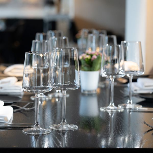 300857 Бокал для вина Wine 510 мл серія "Niveau"