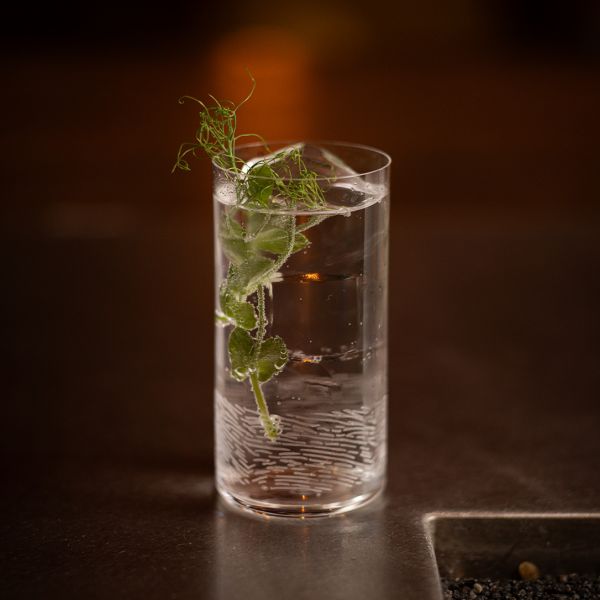 42321276 Склянка висока 345 мл "Highball" серія "Tribute Collection"