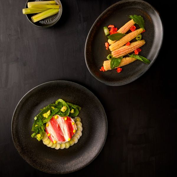 VSN-ZT-23-DZ Тарілка кругла 23 см, серія "Vision"