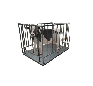 Ваги длявеликої рогатої худоби з решіткою (1500х2000)