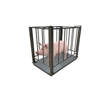 Ваги для свиней з решіткою (1000х1500)