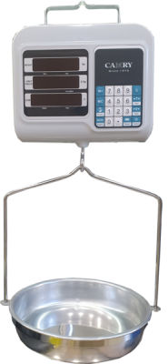 Ваги торговельні підвісні ВТД-30-ОСЕ